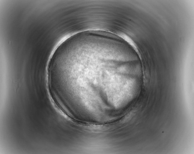 X0000086941096200704301132