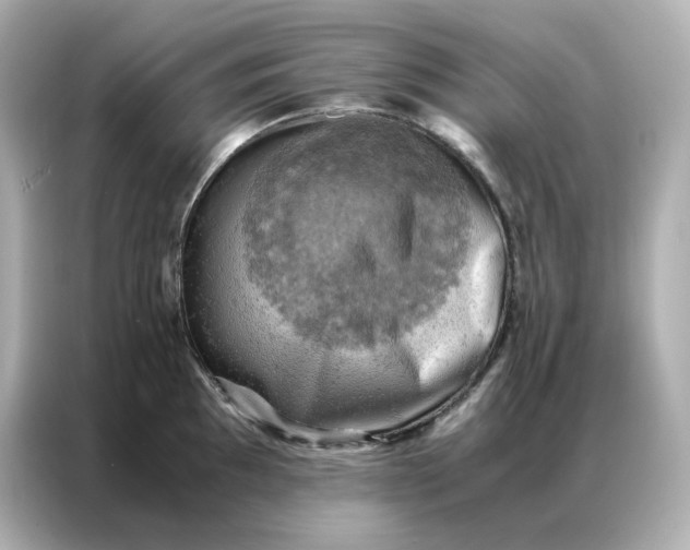 X0000086941097200704301132