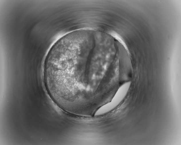X0000086941099200704301132