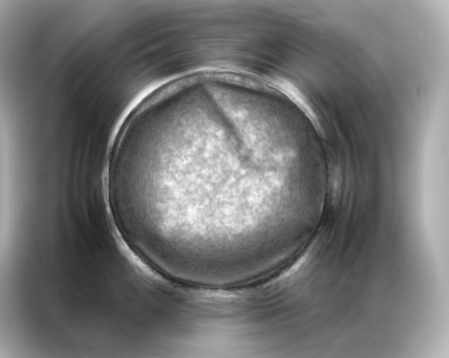 X0000086941100200704301132