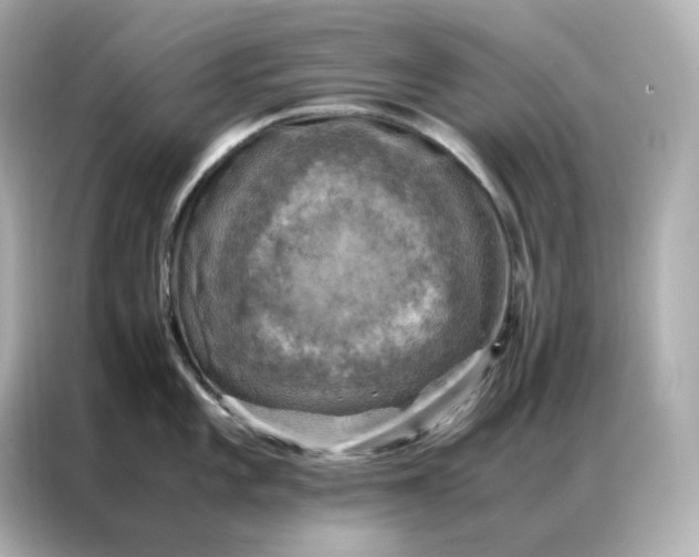 X0000086941101200704301132