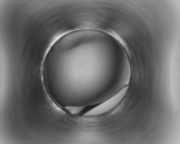 X0000086941102200704301132