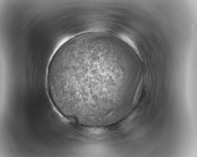 X0000086941103200704301132