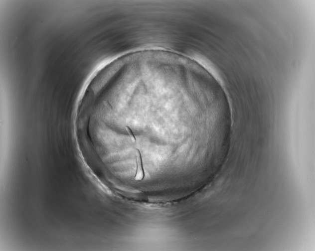 X0000086941104200704301132