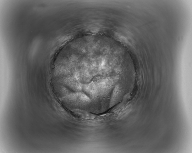 X0000086941105200704301131