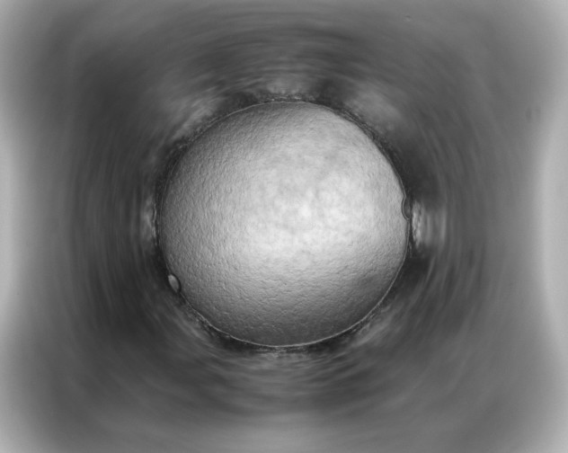 X0000086941107200704301131
