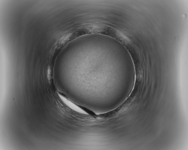 X0000086941108200704301131