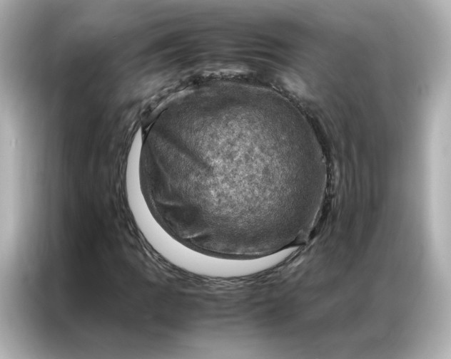 X0000086941109200704301131