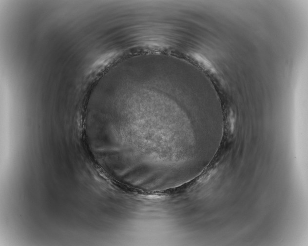 X0000086941110200704301131