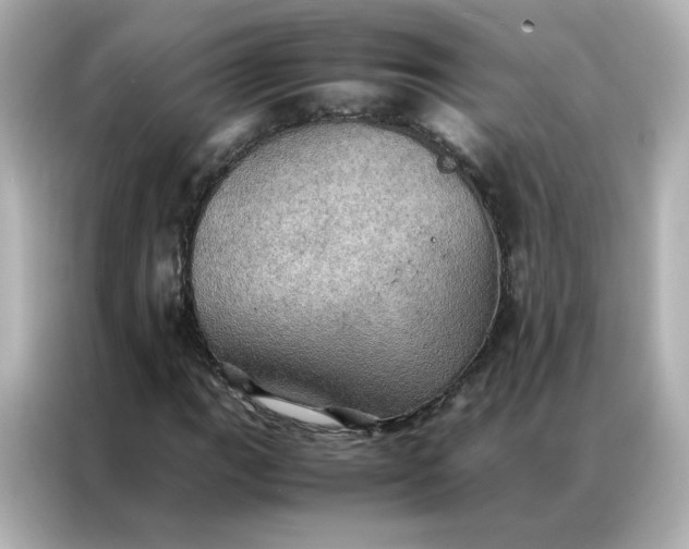 X0000086941111200704301131