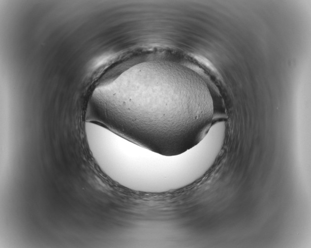 X0000086941112200704301131