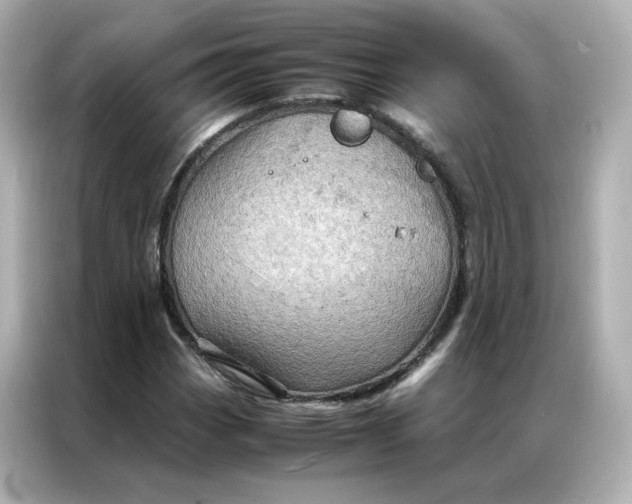 X0000086941113200704301131