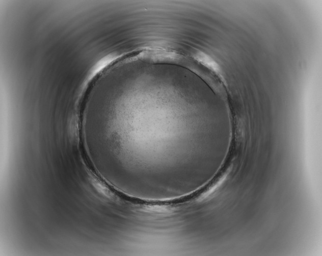 X0000086941114200704301131