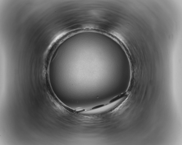 X0000086941115200704301131