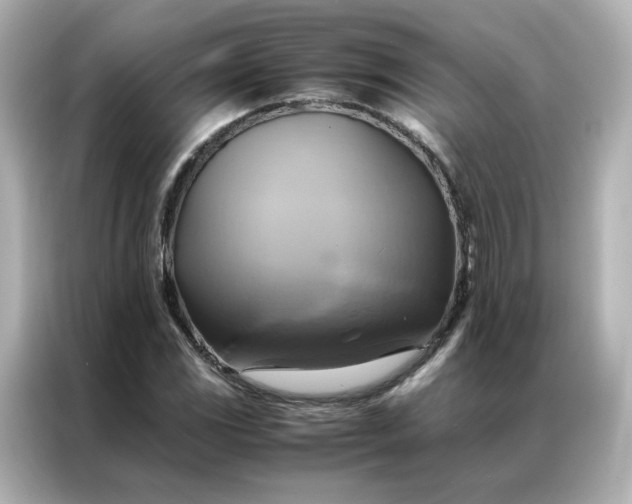 X0000086941117200704301132