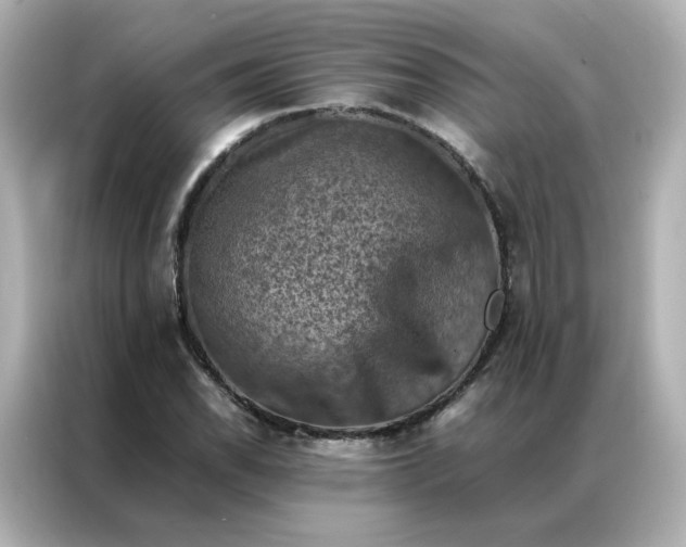 X0000086941118200704301132