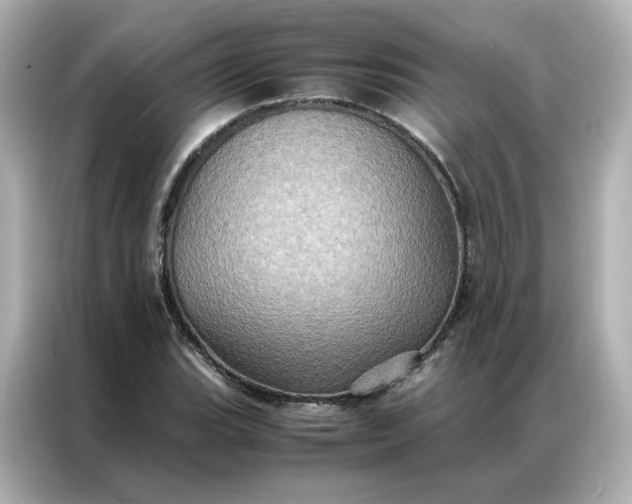 X0000086941119200704301132