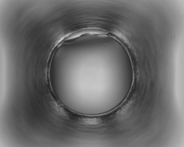 X0000086941121200704301132