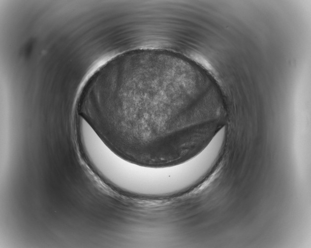 X0000086941122200704301132