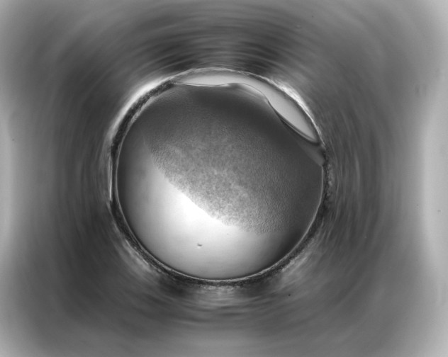 X0000086941123200704301132