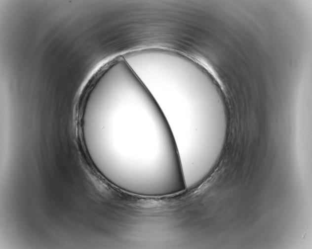 X0000086941124200704301132