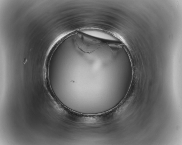 X0000086941125200704301132