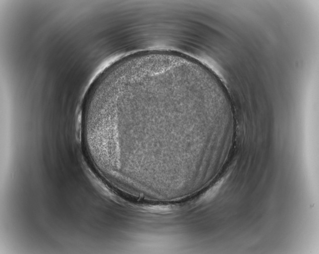 X0000086941126200704301132