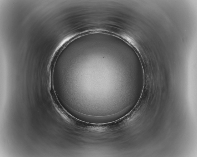 X0000086941127200704301132