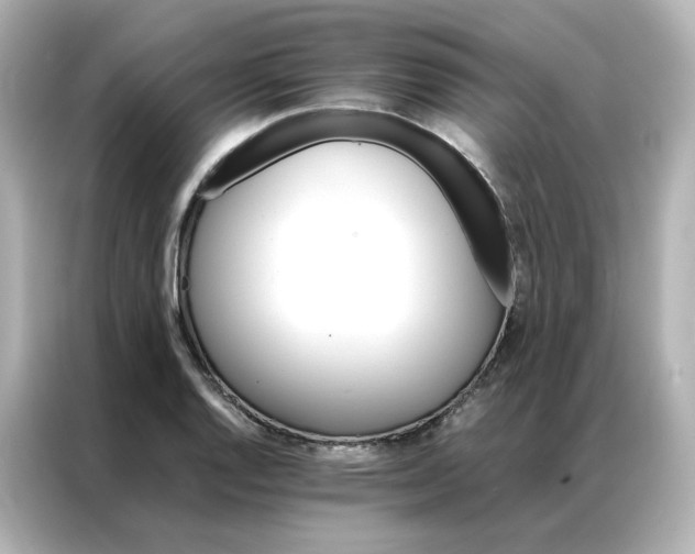X0000086941128200704301132