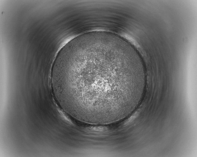 X0000086941129200704301132