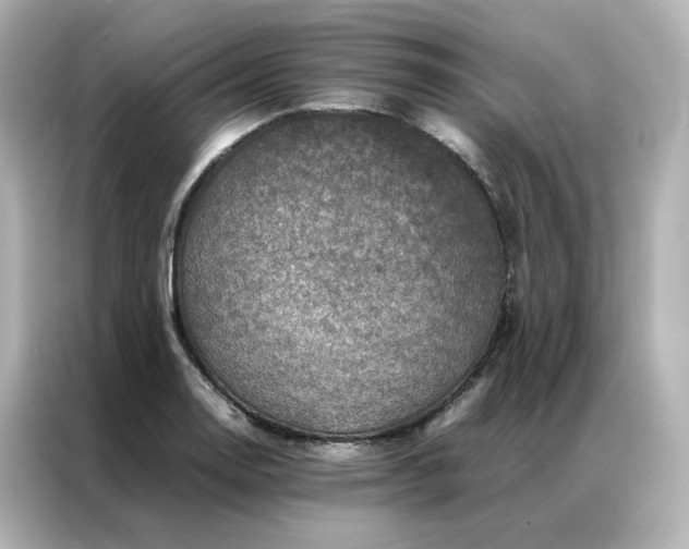 X0000086941130200704301132