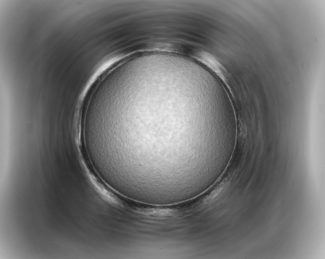 X0000086941131200704301132