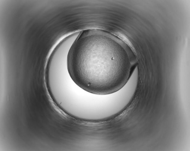 X0000086941132200704301132