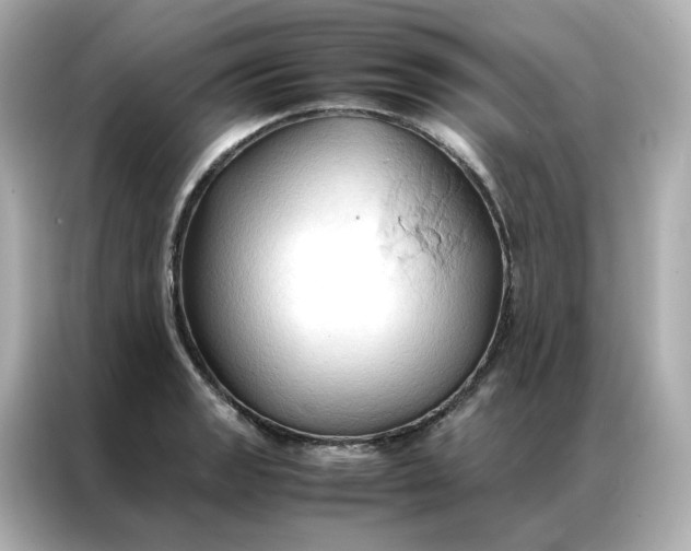 X0000086941133200704301132