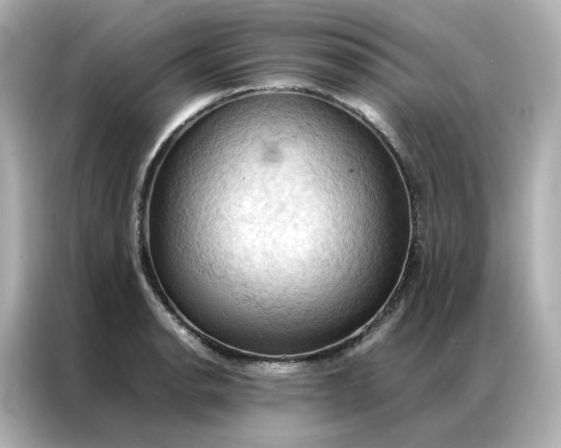 X0000086941134200704301132