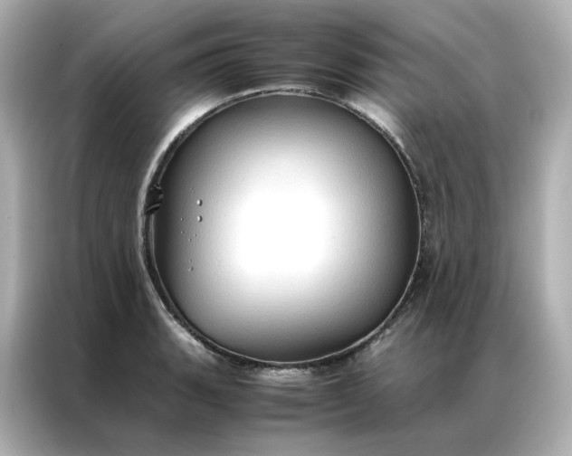 X0000086941135200704301132