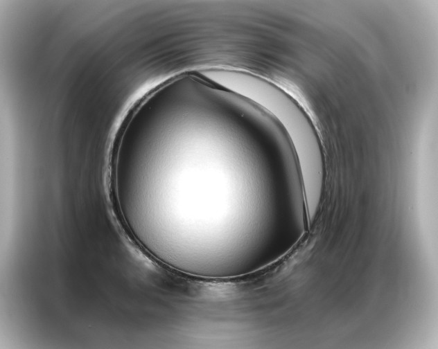 X0000086941136200704301132