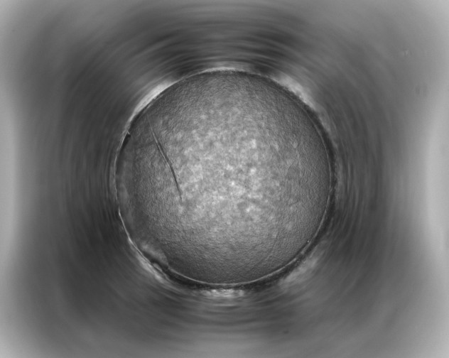 X0000086941137200704301132
