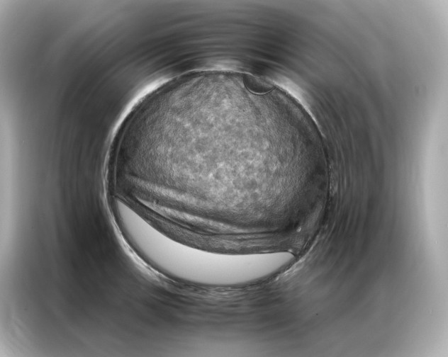 X0000086941139200704301132