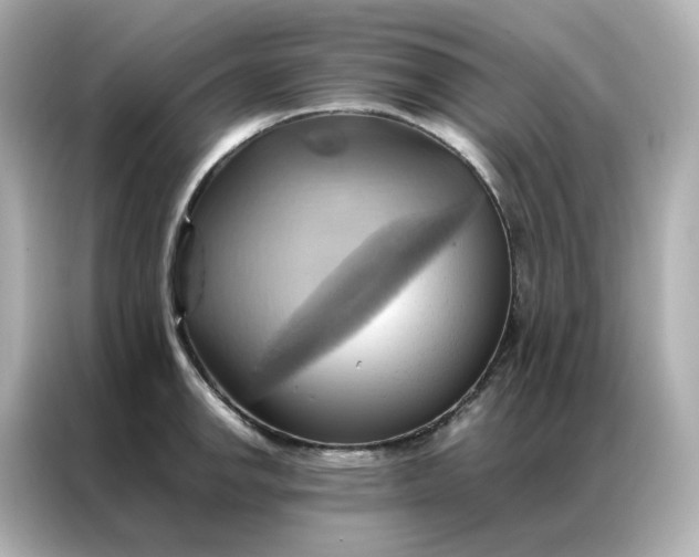 X0000086941142200704301132
