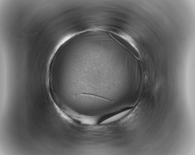 X0000086941143200704301132