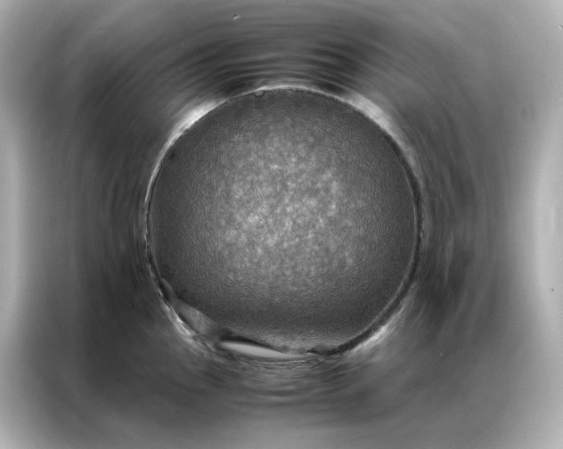 X0000086941145200704301132