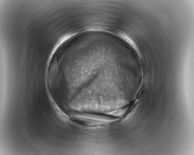 X0000086941146200704301132