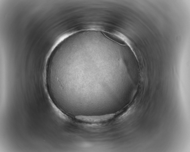 X0000086941147200704301132