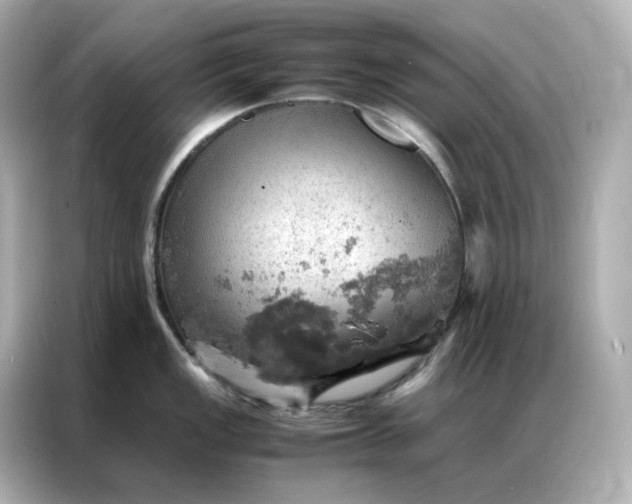 X0000086941149200704301132