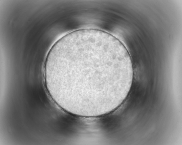 X0000086941150200704301132