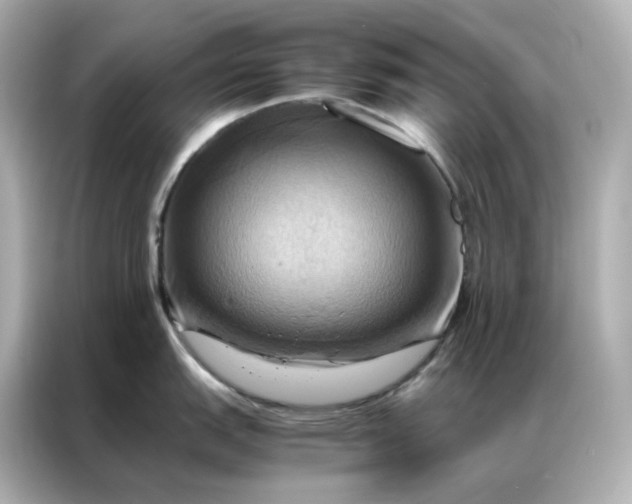 X0000086941151200704301132