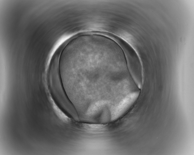 X0000086941152200704301132