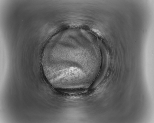 X0000086941153200704301131