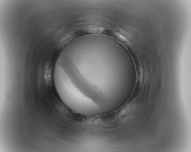 X0000086941154200704301131